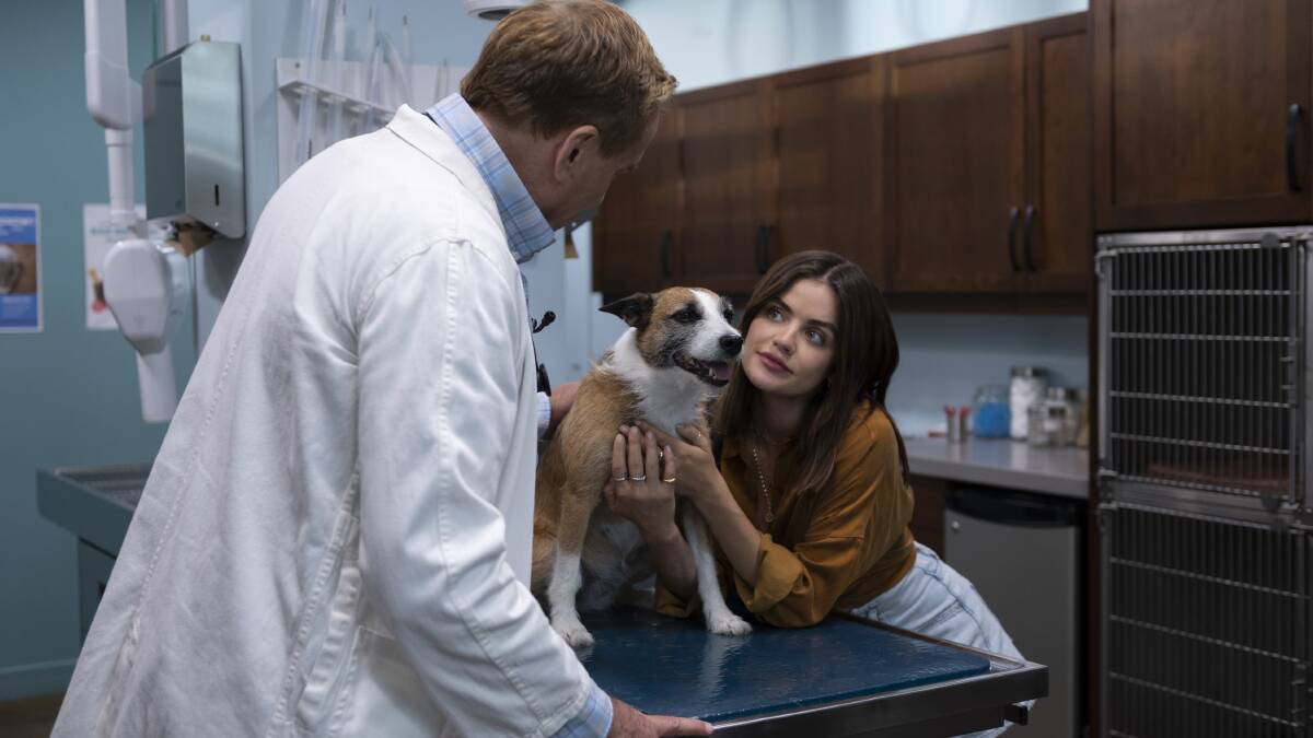 Lucy Hale stars as Nicole in Puppy Love. Picture by Prime Video