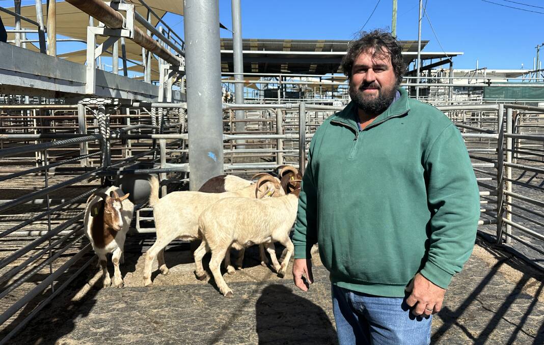 Ben Stanford, Parreora, Peak Hill, sold four Boer wethers to top the Dubbo goat sale at $270 a head on Tuesday. Picture by Elka Devney.