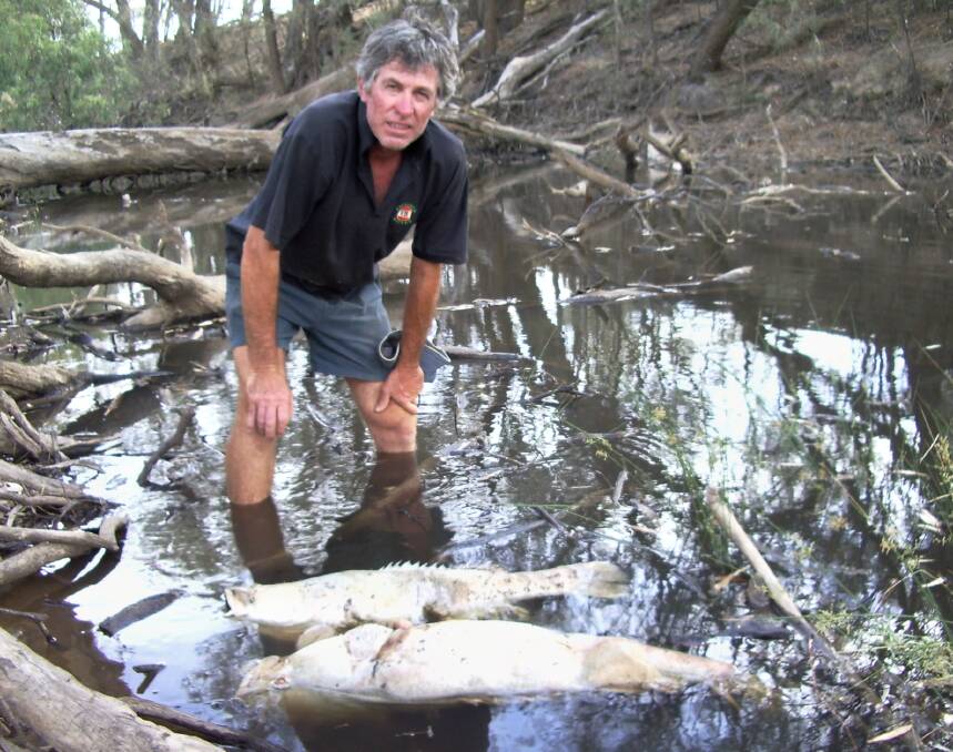 Dead in the Water: Fears of a black water fish kill similar to the event that occurred in 2010 are echoing up the Murray Darling Basin. 