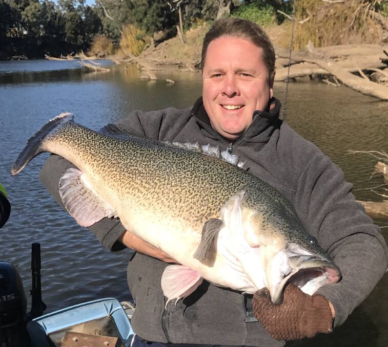 Nicely Done: Matt Hansen with a 92cm Murray Cod caught and released on a cool winters morning. Braving the cold mornings and frosty nights in search of a quality catch.