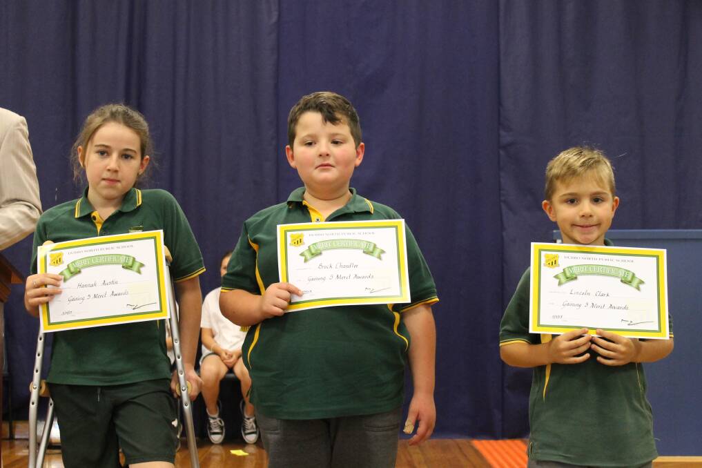 Way to Go: Hannah Austin, Brock Chandler and Lincoln Clark received their Merit Certificates last week.