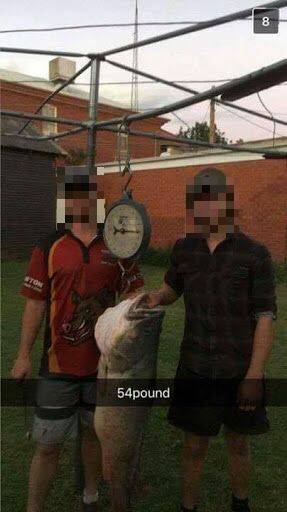 'THE COD SQUAD': The image that originally sparked online attention earlier this month. Photo: FACEBOOK. 