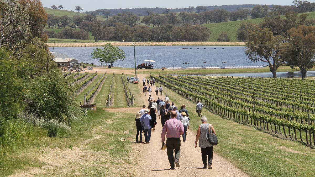 An idyllic setting, especially with a glass of bubbly in hand … heading down for Angullong’s Outstanding in the Vines lunch   