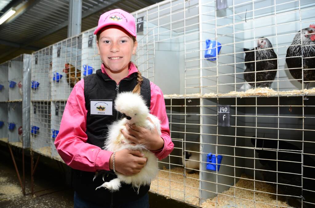 POULTRY AUCTION: Jessica Kleppe with a Silky at the recent annual poultry auction in Dubbo, which has become a premier event. Photo: BELINDA SOOLE 
