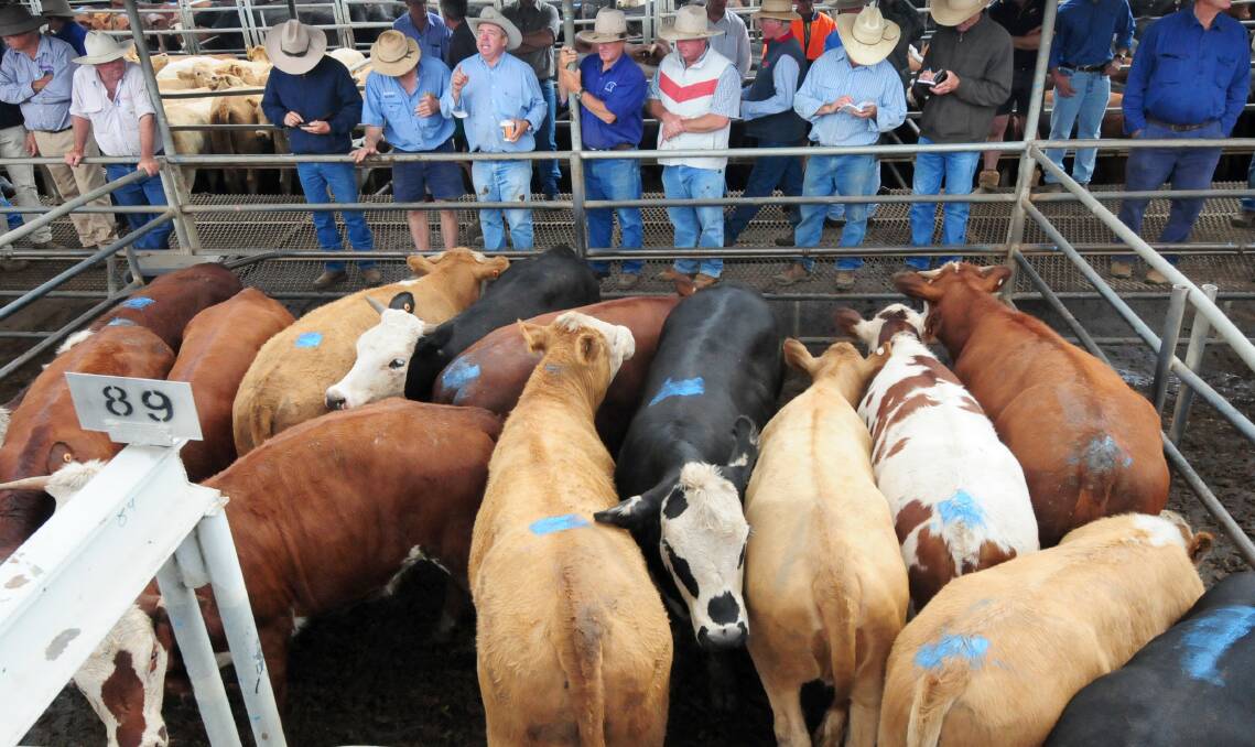 SLOWING DOWN?Statistics on cattle kills in the past six months suggest there is certainly some slack to be taken up. Qld is down 20 per cent, NSW down 15, Victoria down 19, SA down 16 and WA and Tasmania down 5 per cent each.