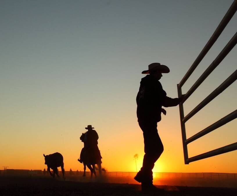 HIGH HOPES: Meat & Livestock Australia (MLA) hopes "Brexit" may open the gate for  Australian producers to increase market share in Britain. Photo: File.