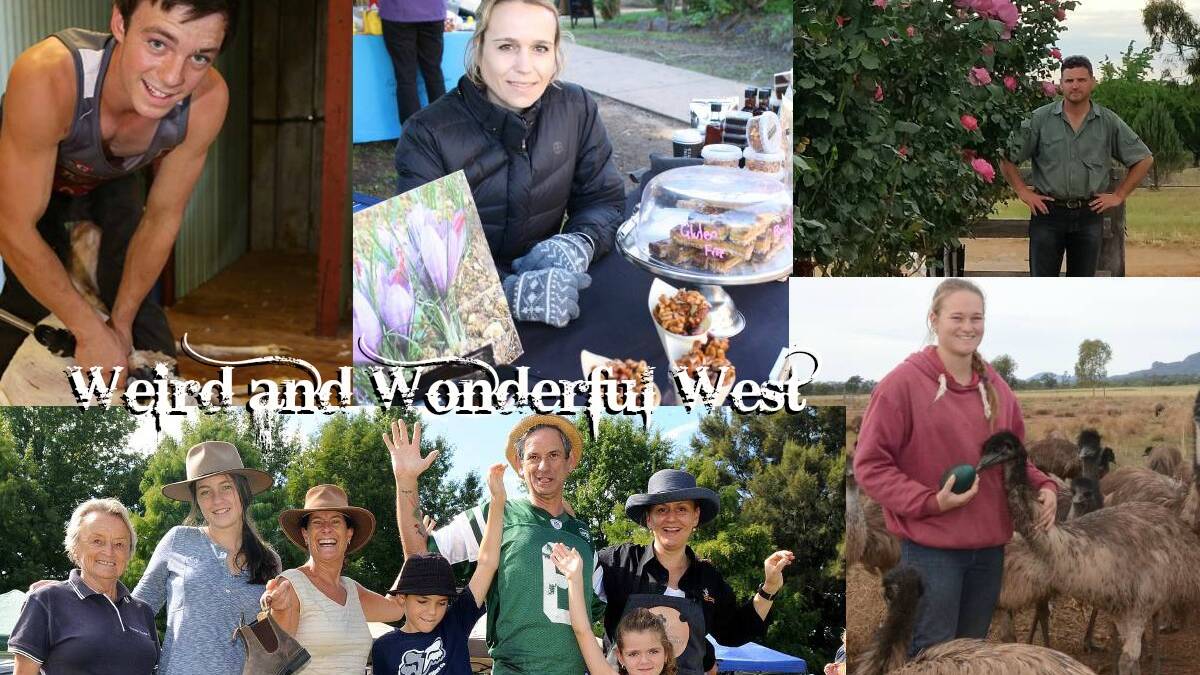 The weird and wonderful west