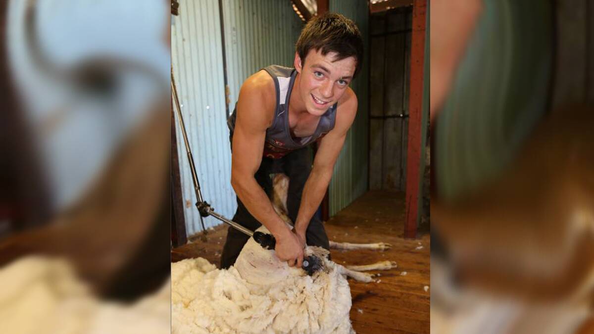 Seventeen-year-old shearer Brody Tiyce took on a massive task in January. Photo: CONTRIBUTED