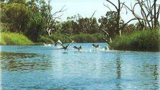 Grant for Macquarie marshes project