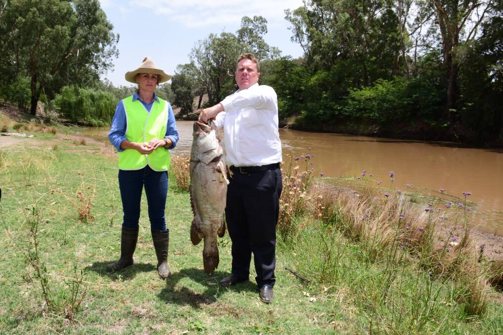 KILLED: NSW Department of Primary Industries Fisheries senior manager Sam Davis and Inland Waterways President Matt Hansen near Dubbo on Monday. Photo: BELINDA SOOLE