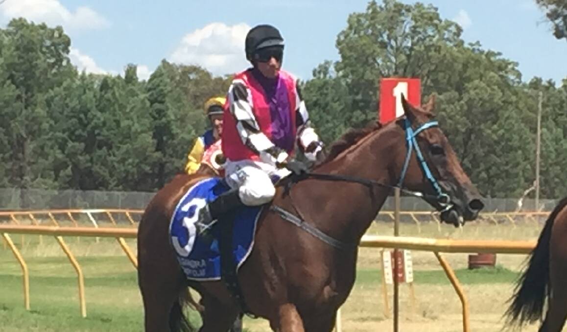 WHAT A WIN: Greg Ryan and Artictic Beauty return to the mounting yards after claiming the 2018 Gilgandra Cup. Photo: JEN HOAR