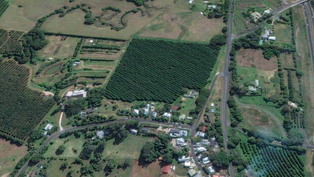 Google Maps view showing the macadamia farm bought by interests linked to John Ibrahim on the edge of Newrybar. Photo: Google Maps
