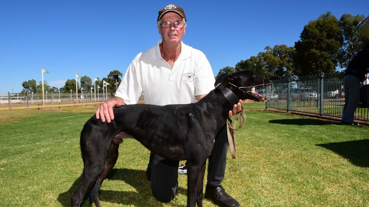 TOP TRAINER: Paul Braddon trains Falcon's Fury, which will start favourite in Friday night's Dubbo Gold Cup.
