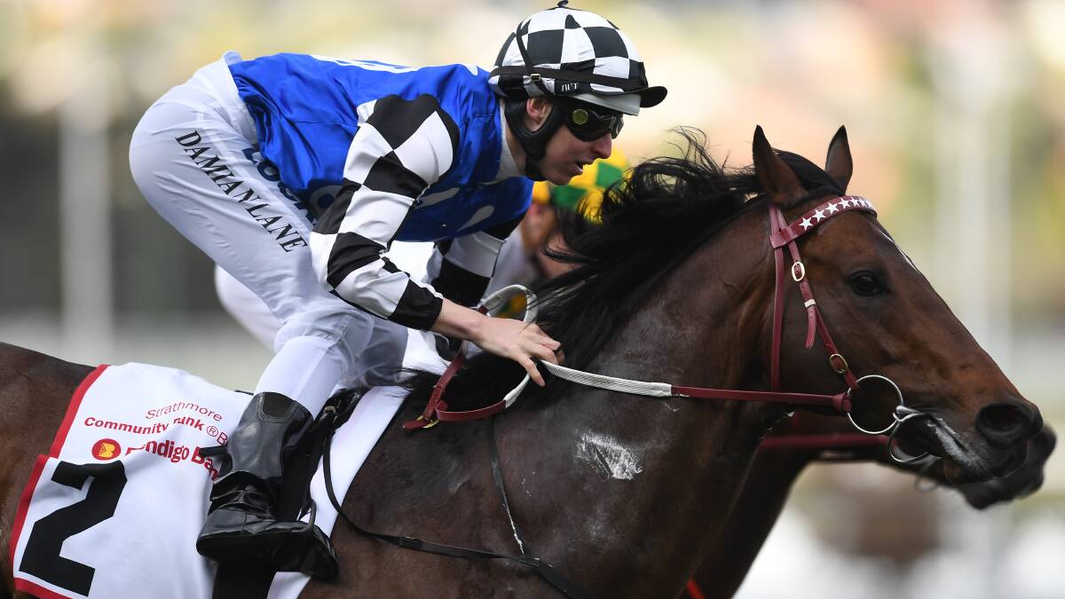 SCALING EVEREST?: Brave Smash winning at Moonee Valley recently.