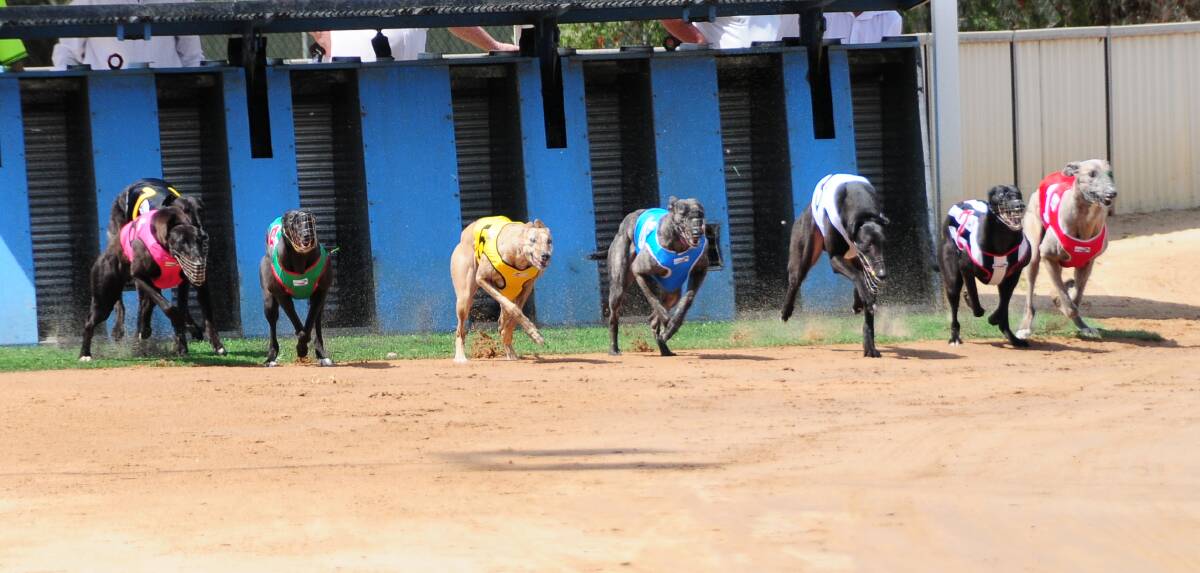 Greyhound racing will be shut down in 2017 after a bill passed parliament on Wednesday morning.