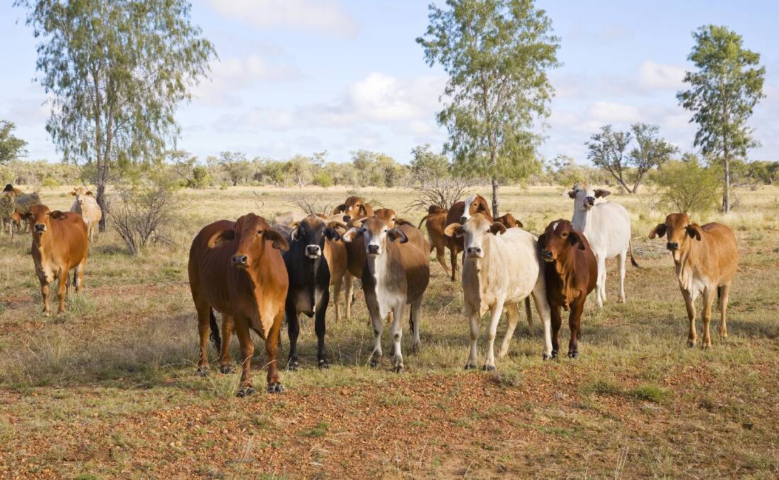 Stock theft and rural crime are major problems in the central west. Former assistant commissioner Stephen Bradshaw has completed an inquiry into the issues.