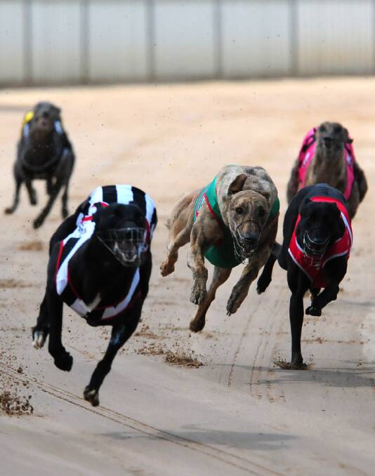 Who will blink first in greyhound debate?