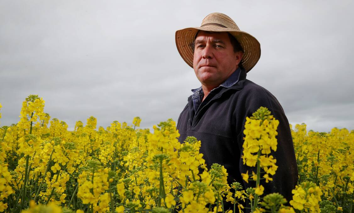 Phillip Alcorn in a field of canola on his property near Harden. Photo: ANDREW MEARES