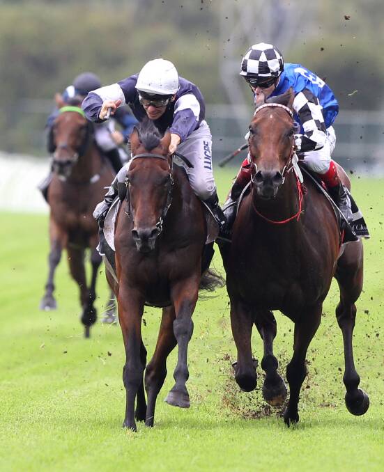 PROTEST: Big Duke (checked sleeves and cap) and Our Century (white cap) brush in the run to the line last Saturday.