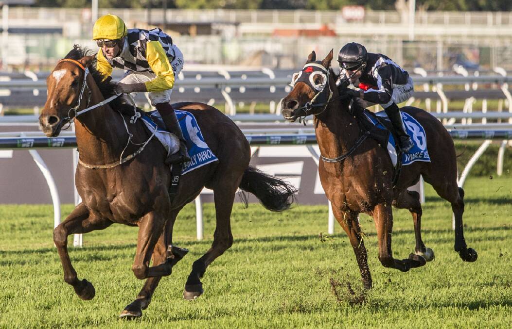 Clearly Innocent is an each-way chance in Saturday's TAB Everest (1200m) at Royal Randwick.