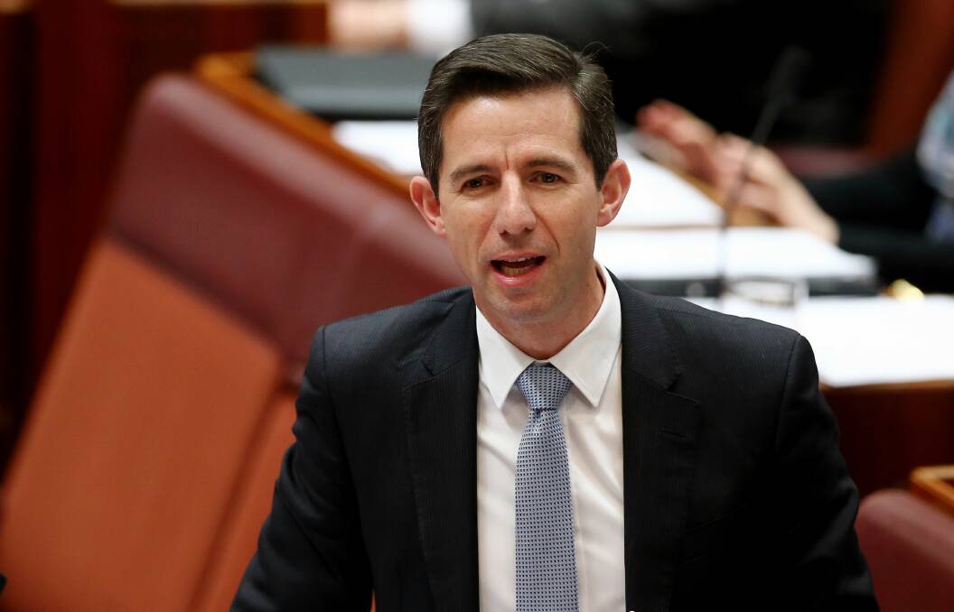 Simon Birmingham's plan to introduce numeracy and literacy testing for year 1 students has been criticised.
