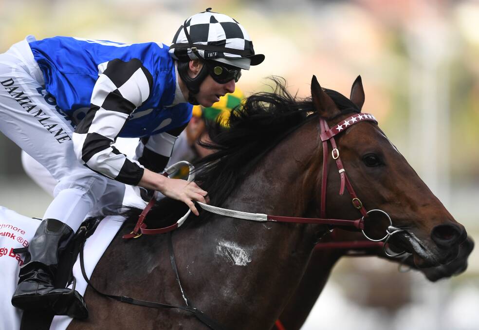 Brave Smash will carry some local interest in Saturday's TAB Everest (1200m) at Randwick.