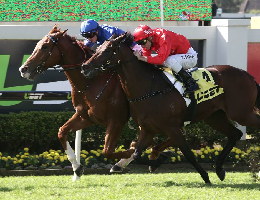 BRISBANE: James McDonald riding on Archives, left, beats Jericho, ridden by Blake Shinn, right, at the Doomben Cup Day, Doomben race course on Saturday. Photographer Tertius Pickard
