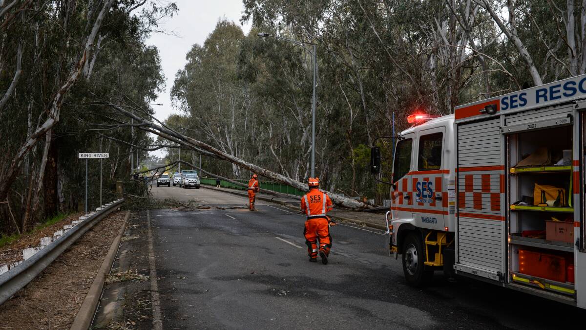 Wangaratta SES attend to a toppled tree.