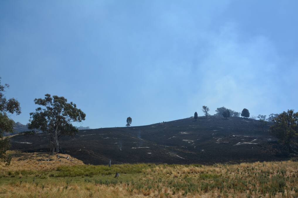 SCORCHED REMAINS: Smoke rising from one of the burnt out hills near Wellington back in January. Photo: NICK GRIMM