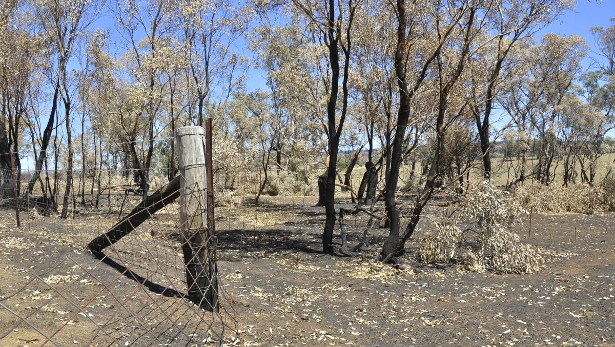 DAMAGE: An estimated 6000 kilometres of fencing was damaged and destroyed by the Sir Ivan fire in February. BlazeAid volunteers continue to reestablish fence lines. Photo: BELINDA SOOLE