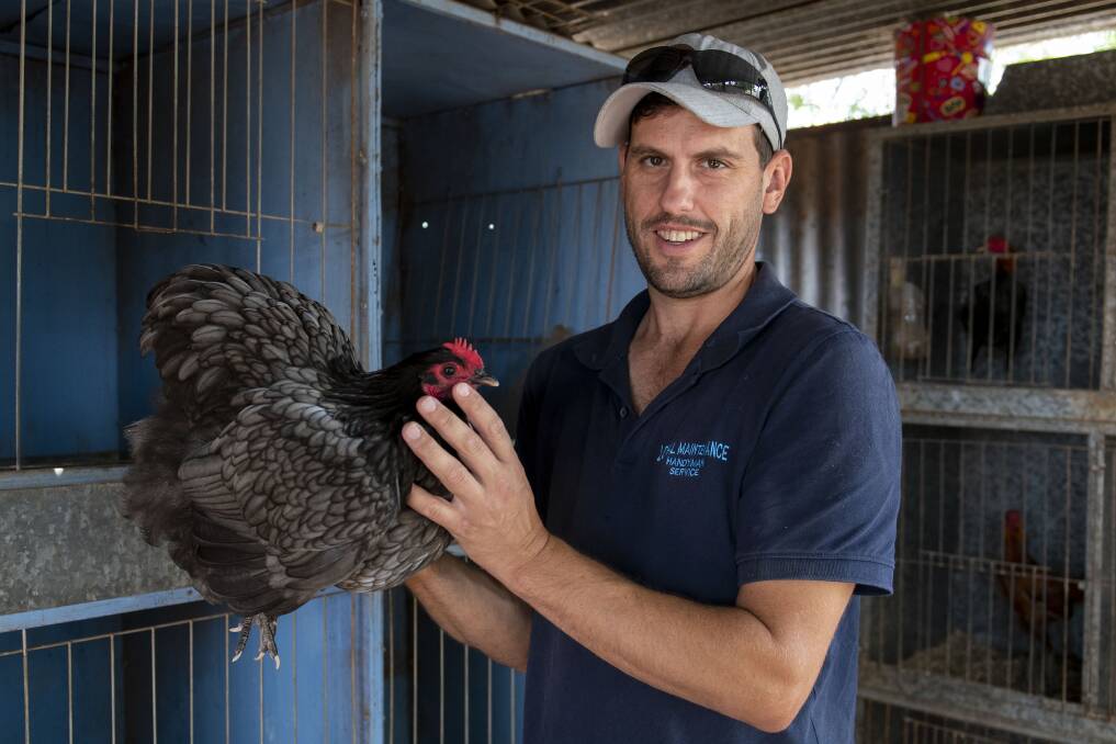 Ryan Harris with one of his Orpington Bantams that he will take to the Sydney Royal Easter Show from April 6 to 17. Picture by Belinda Soole