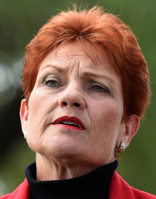 Is our democracy finally ready for Hanson?