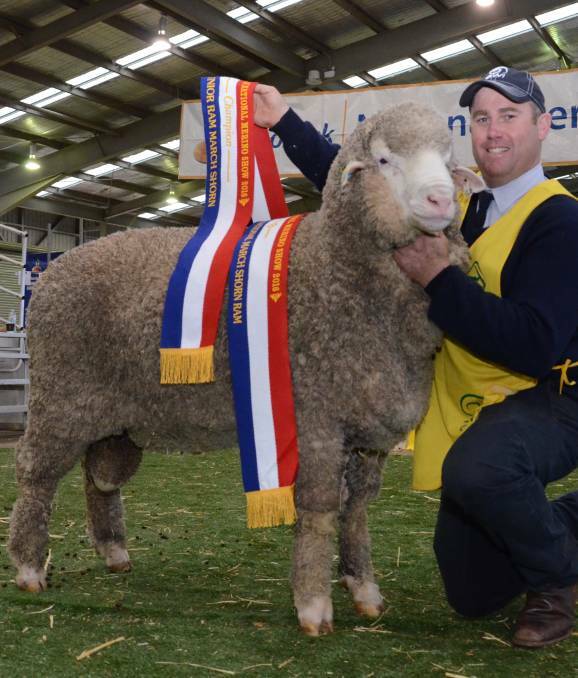 National Merino Show highlights | Rolling coverage