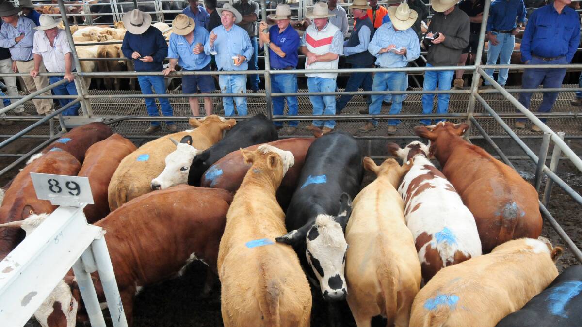 Stock and property: Bill Tatt reveals $100 million would be on the table to develop a new abattoir and feedlot on a 900ha site in Queensland. Photo: File 