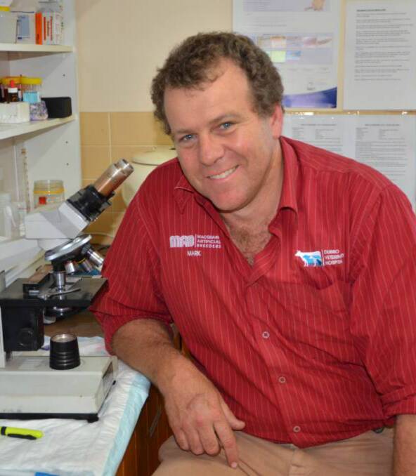 Remain vigilant: Dubbo veternarian Mark Carter said there is an early flea infestation. Photo: Contributed