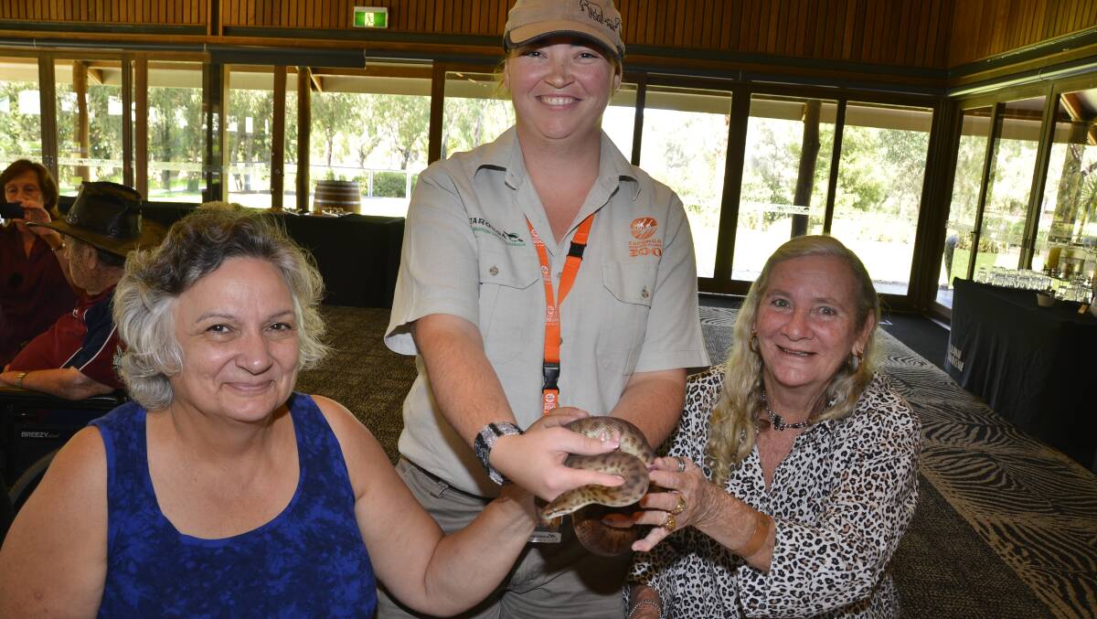 Wild fun: Miranda Rowlands, Sunshine Coast, Queensland, Dubbo Zoo officer Natasha Timpano and Sandy Bornby, Eumungerie. Photo: Paige Williams