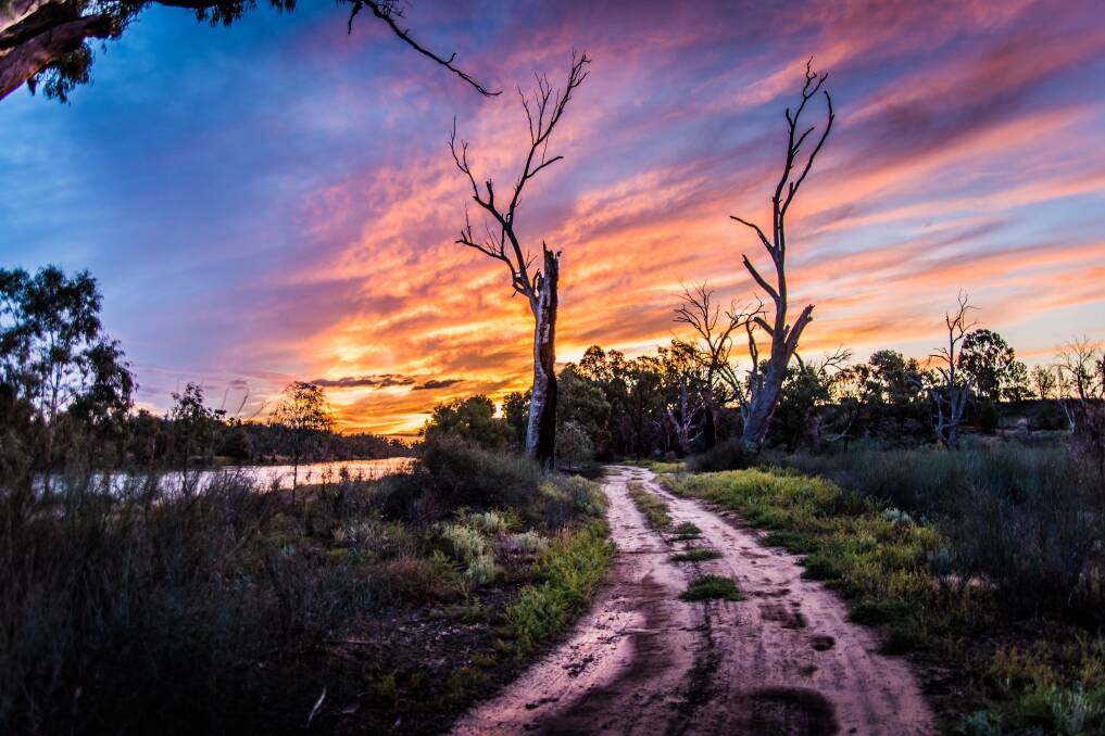 LIFE AND LIGHT: Aaron Hawkins has entered 'Pastel Path' in the open colour category of the 2017 Life and Light photographic competition run by Western Local Land Services and Western Landcare. Photo: Contributed   
