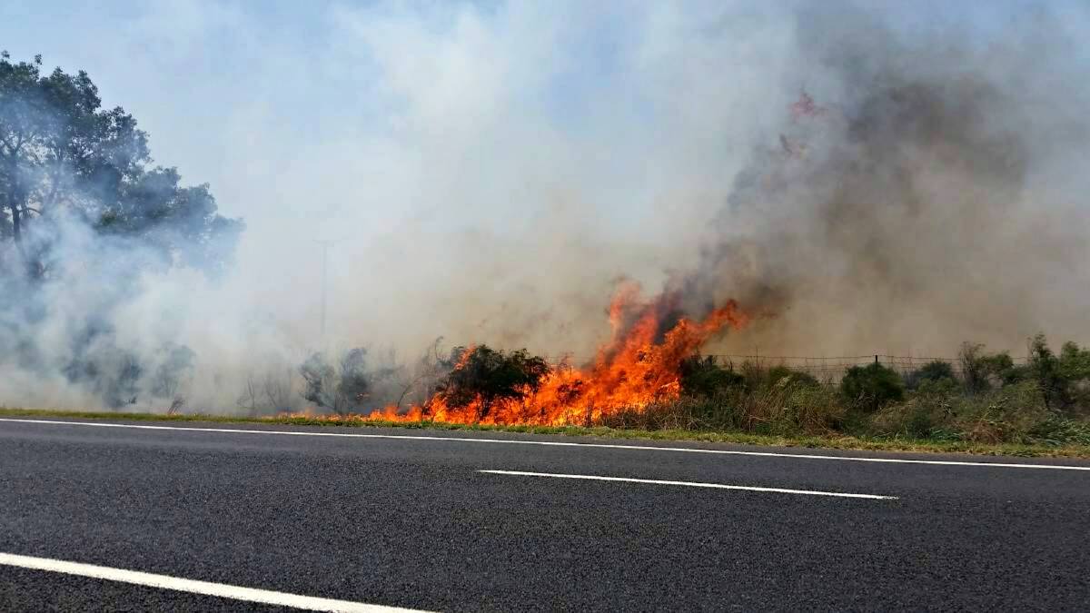 FUEL FOR FIRE: Inspector Bob Conran reports of "high fuel loads" on the sides of roads and in reserves in the Orana district. Photo: File