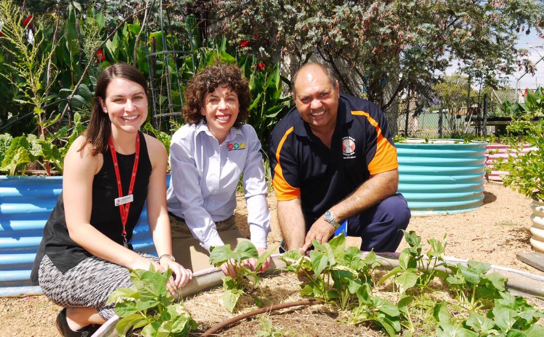 VEGIE FANS: In the Dubbo Community Garden in Palmer Street are Gabriella Barrett from the Australian Red Cross, researcher Polly Antees and Craig Johnson from the Western NSW Local Health District. Photo: KIM BARTLEY