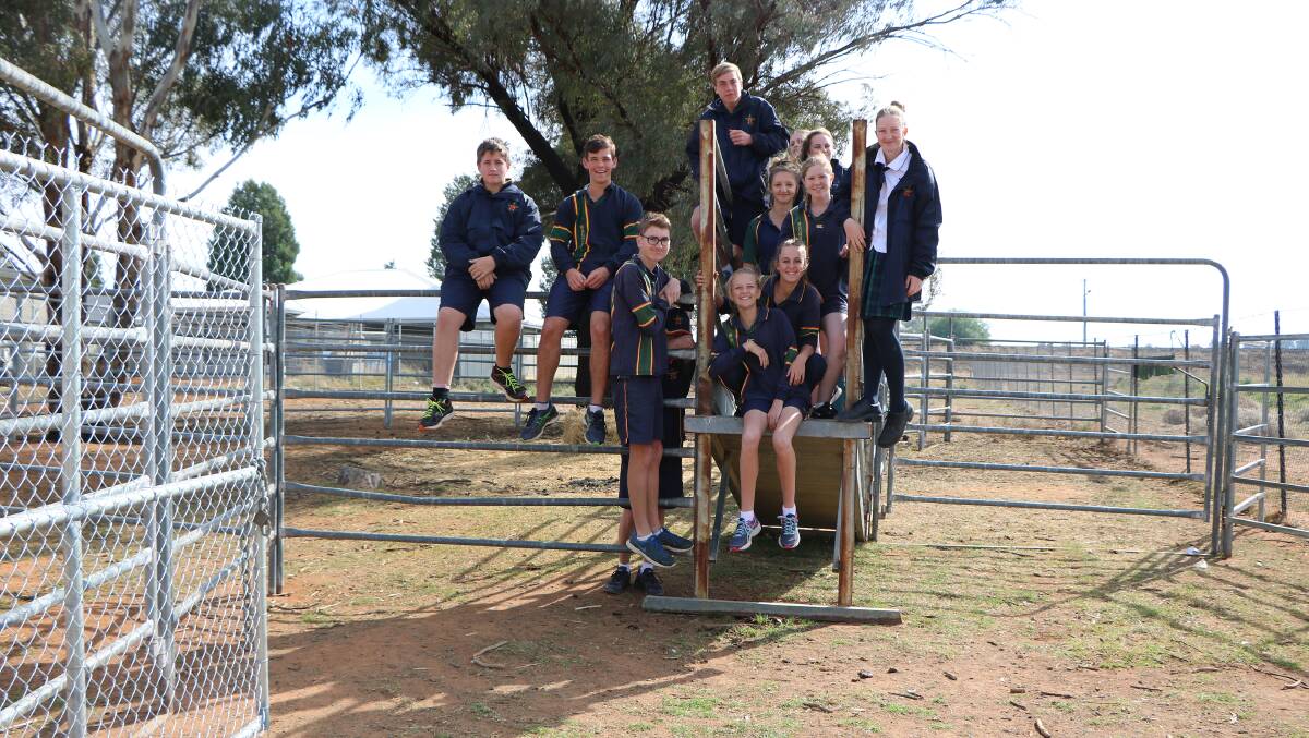 CATTLE YARDS: Year 9 and 10 students at Macquarie Anglican Grammar School have helped build cattle yards complete with a crush and and loading ramp. Photo: Contributed