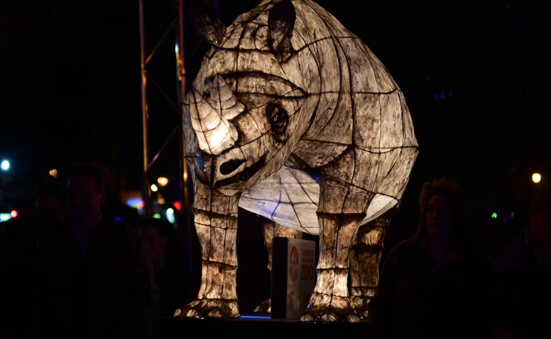 BRIGHT RHINO: A feature of the DREAM Festival 2016 lantern parade was this rhino. Photo: File
