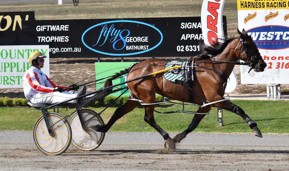BIG WIN: Dont Think Twice, driven by Jason Grimson, was far too strong in Sunday's feature race at Bathurst Paceway. Photo: ALEXANDER GRANT
