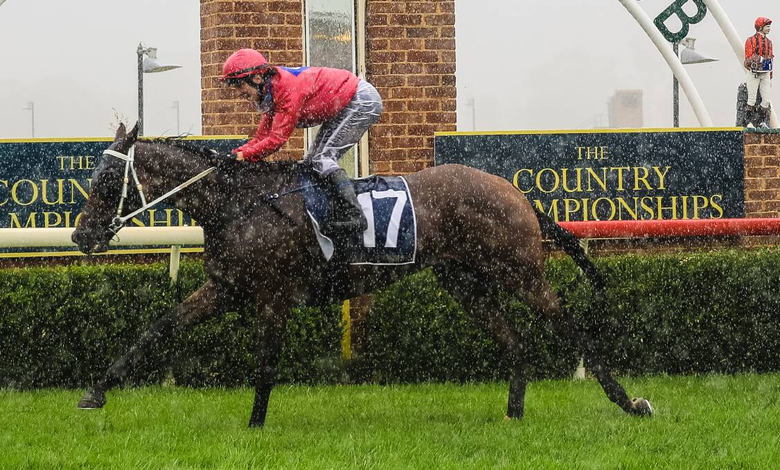 THIRD: Cosmologist came close to a win at Warwick Farm on Wednesday.