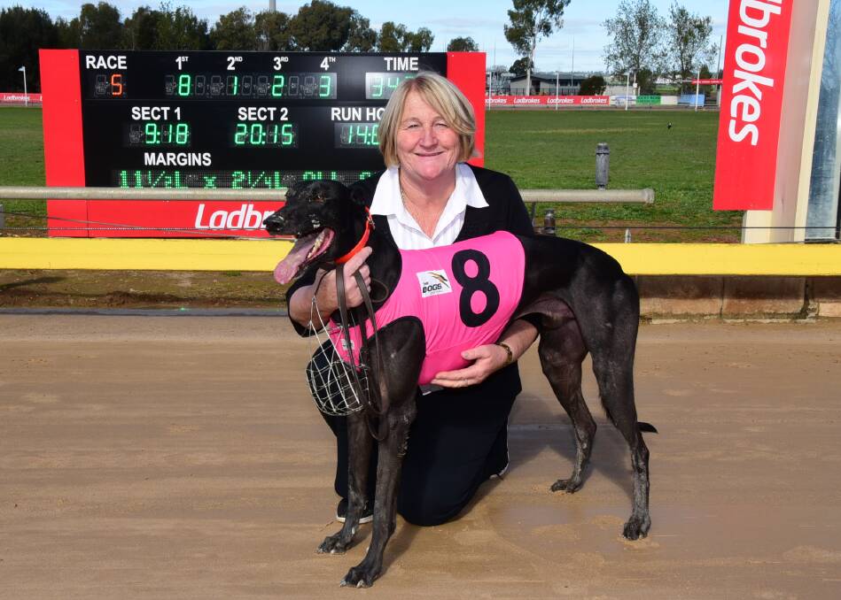 BRILLIANT BRAD: Maree Smith and Brad Hill Billy were all smiles after winning at Dawson Park on Thursday. Photo: BELINDA SOOLE