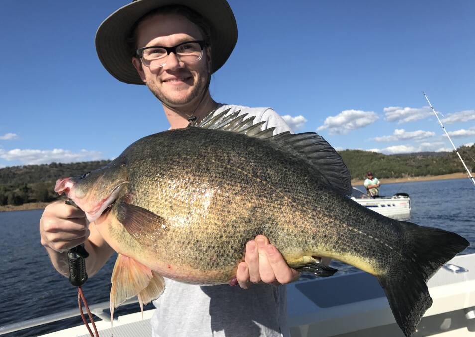 REEL EM IN: Plenty of huge Yellowbelly, like this one caught by Seb Dunn at Burrendong last week, feature in Total Native. Photo: CONTRIBUTED