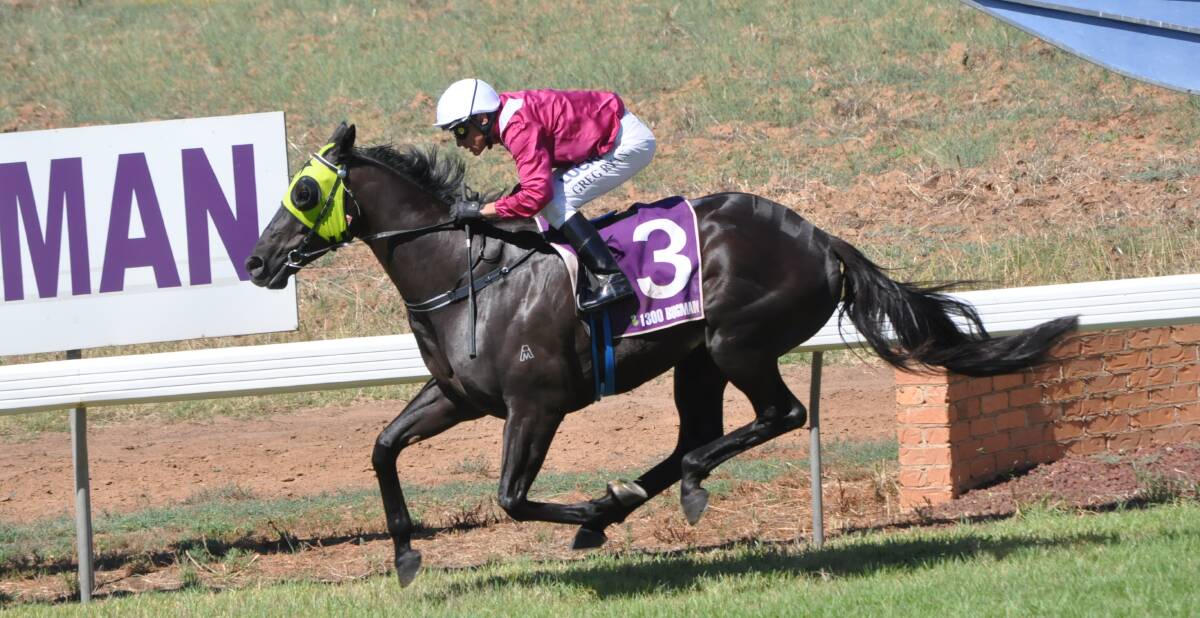 DARE TO DREAM: The Mark Jones-trained Eagles Dare powered to an impressive victory at Parkes on Saturday, edging out his Dubbo stablemate Nordic Noir in the process. Photo: CHRISTINE SPEELMAN