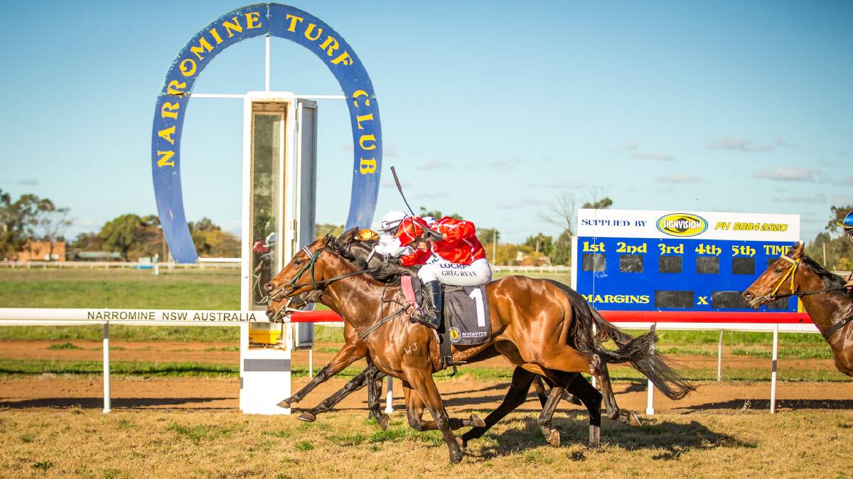 COMING IN NICELY: Coming In Hot is "spot on" heading into Sunday's race, according to trainer Justin Stanley. Photo: JANIAN MCMILLAN (www.racingphotography.com.au)