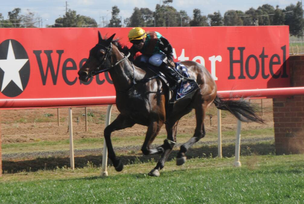 ON A ROLL: Cowboys Karma, pictured winning at Dubbo last month, will be going for a fifth straight victory in Sunday's Cotton Cup. Photo: NICK GUTHRIE