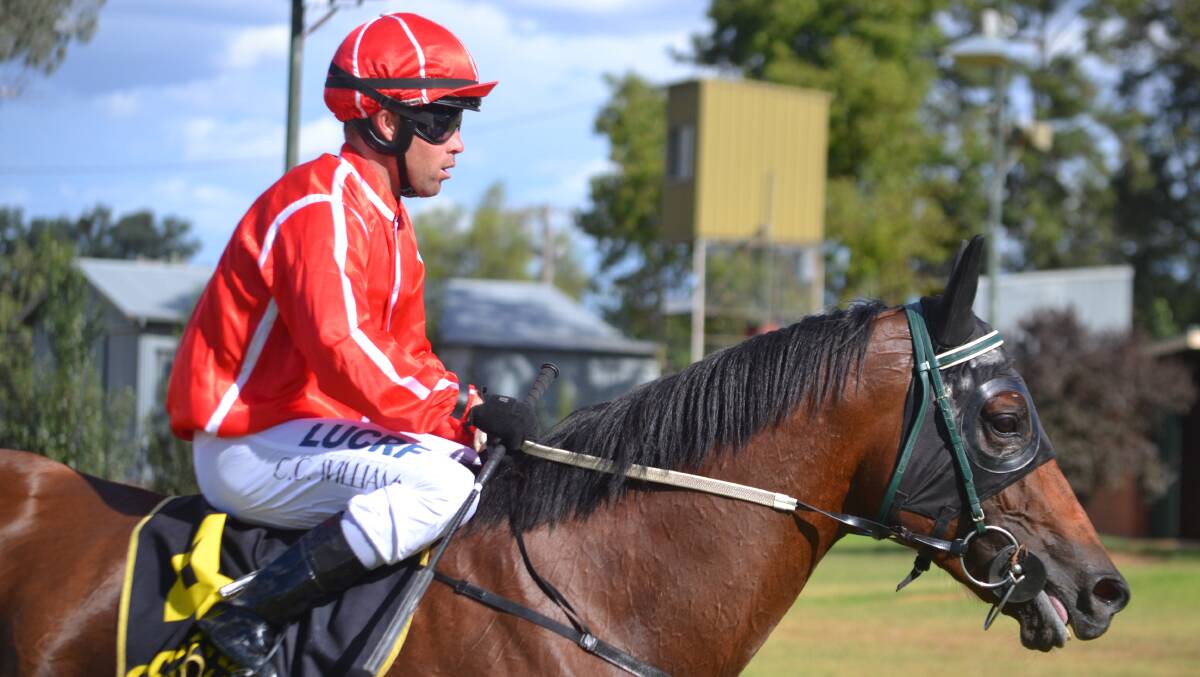 OLDER AND WISER:Justin Stanley's Coming In Hot will reunite with jockey Chris Williams when he makes his return from a spell at Mudgee on Sunday. Photo: PETER GUTHRIE