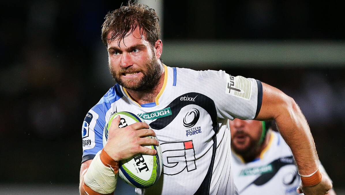 ON THE CHARGE: Warren junior Ben McCalman, pictured for the Western Force, is being backed to return to the Wallabies side. Photo: GETTY IMAGES